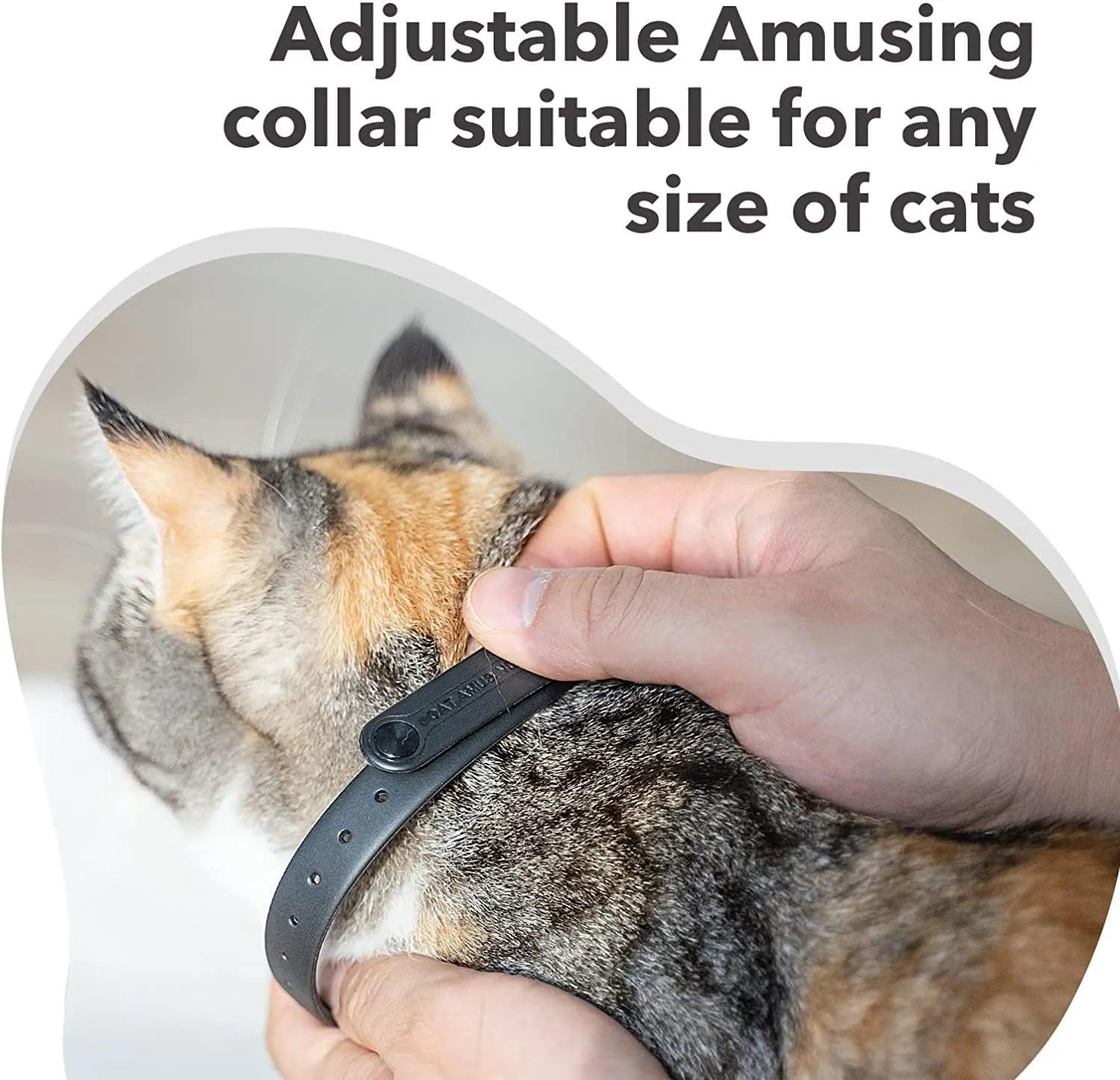Hands-Free Cat Laser Collar - artehome